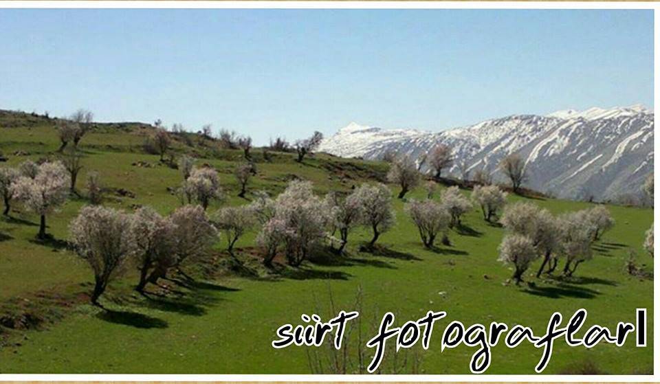 Pervari Doğanca Köyü Resimleri 2