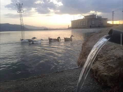 Pervari Doğanca Köyü Resimleri 4