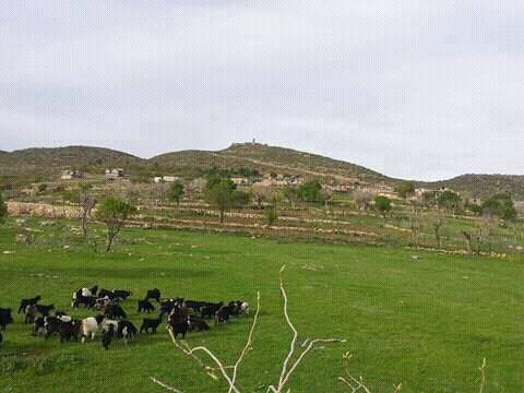 Pervari Doğanca Köyü Resimleri 5