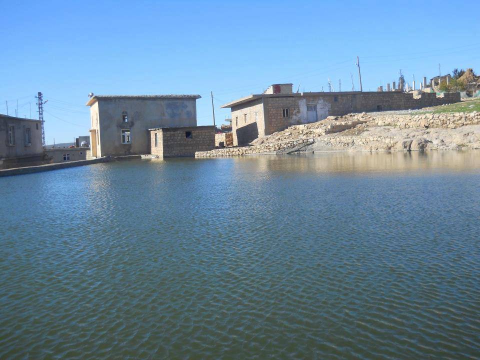 Pervari Doğanca Köyü Resimleri 8