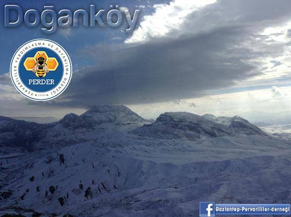 Pervari Doğanköy  Resimleri 1