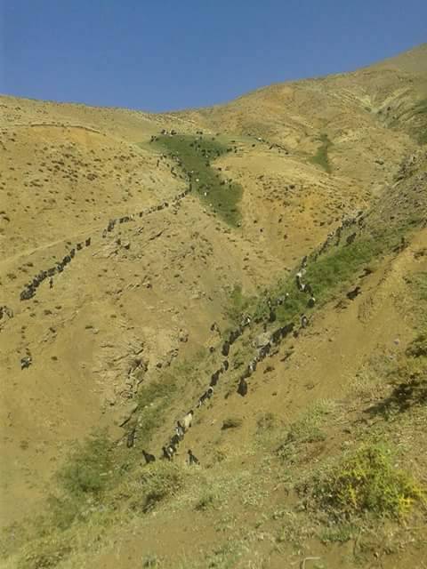 Pervari Dolusalkım Köyü Resimleri 4