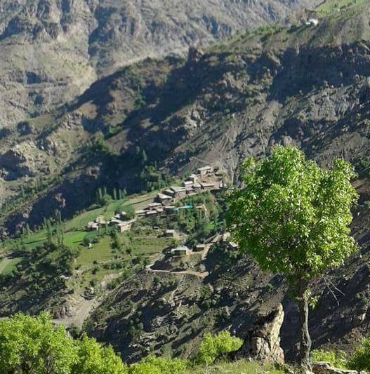 Pervari Dolusalkım Köyü Resimleri 6