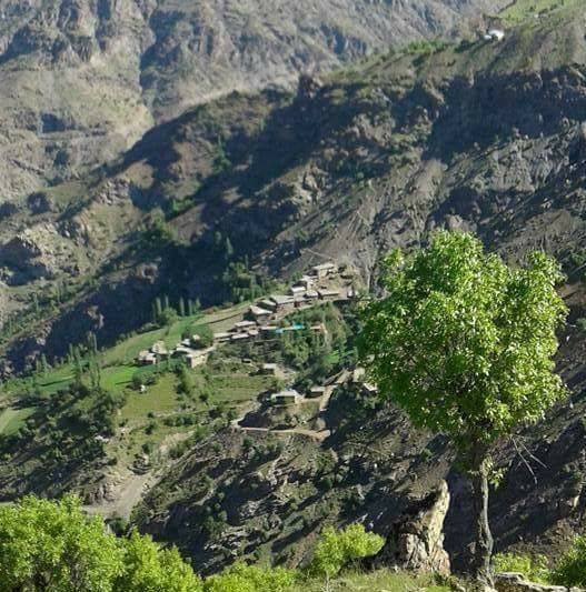 Pervari Dolusalkım Köyü Resimleri 9