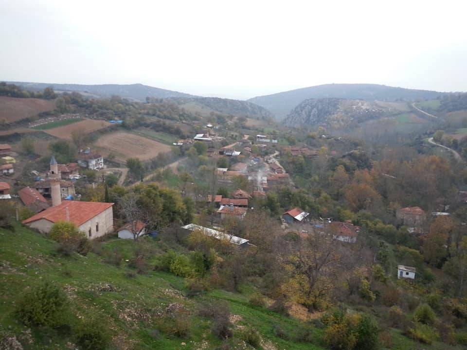 Yenişehir Palmiye Köyü Resimleri 4