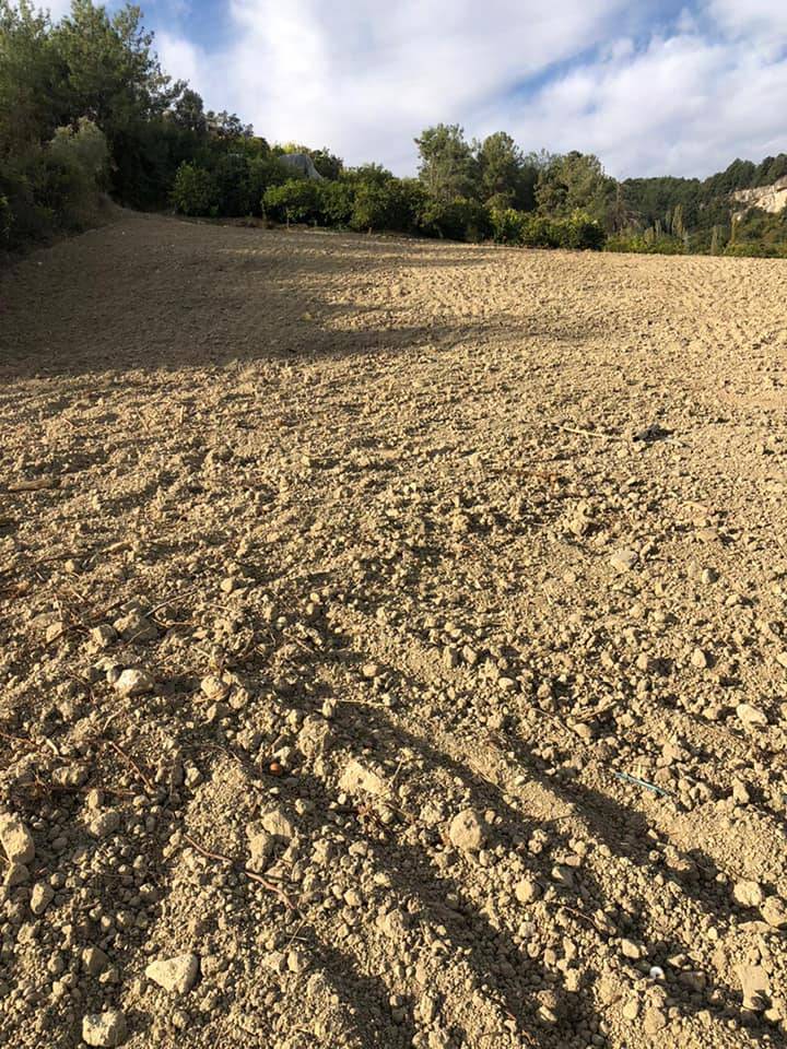Yenişehir Turunçlu Köyü Resimleri 10