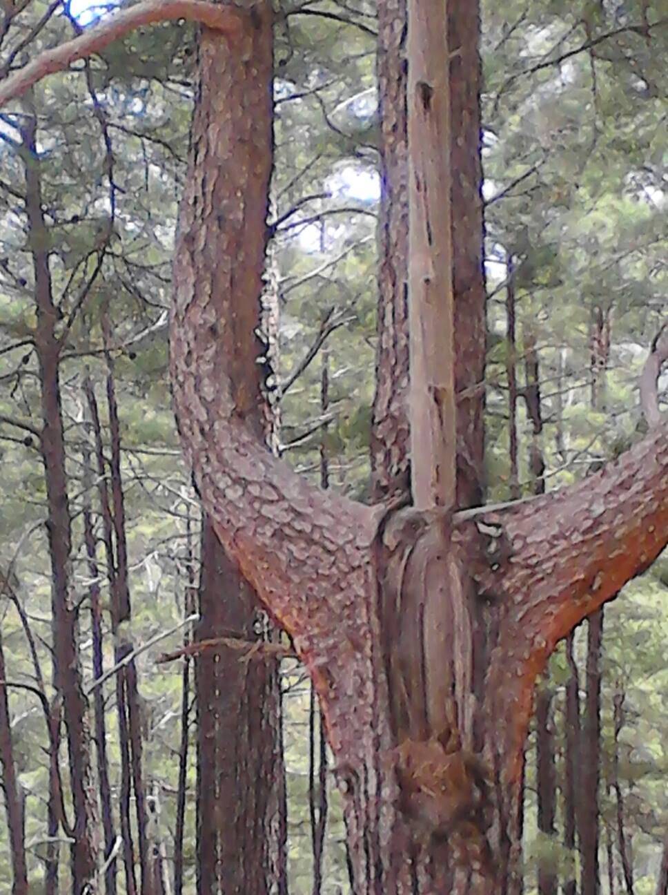 Anamur Aşağıkükür Köyü Resimleri 3