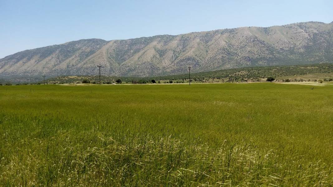 Pervari Erkent Köyü Resimleri 3