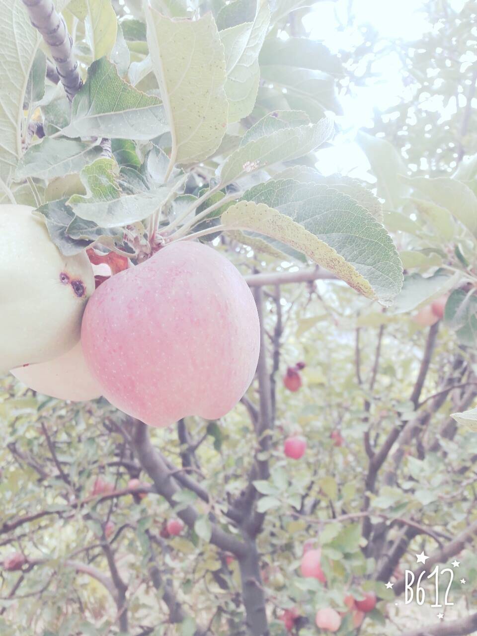 Anamur Bahçe Köyü Resimleri 6