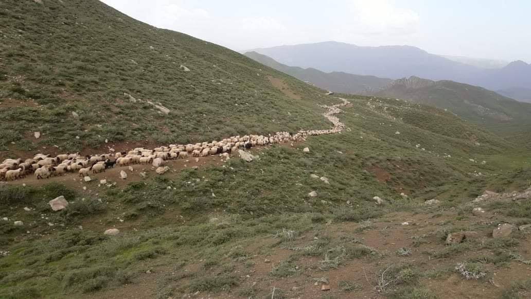 Pervari Gökbudak Köyü Resimleri 6