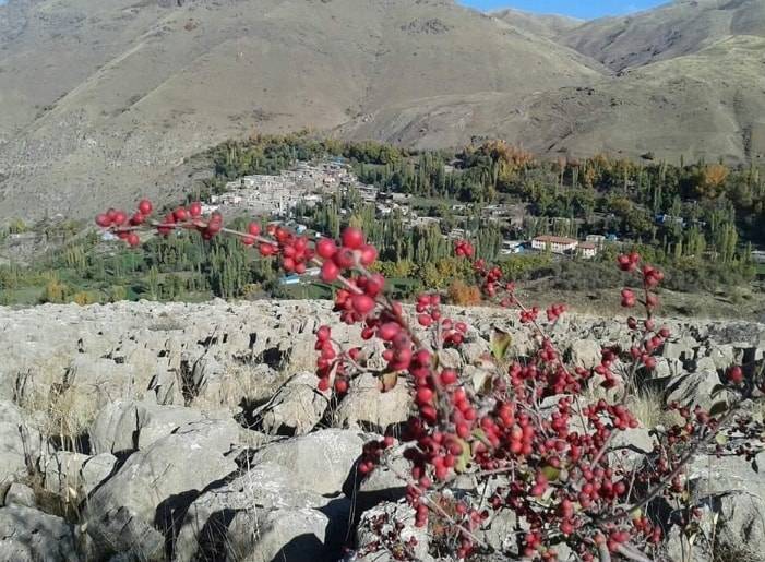 Pervari Gökbudak Köyü Resimleri 8