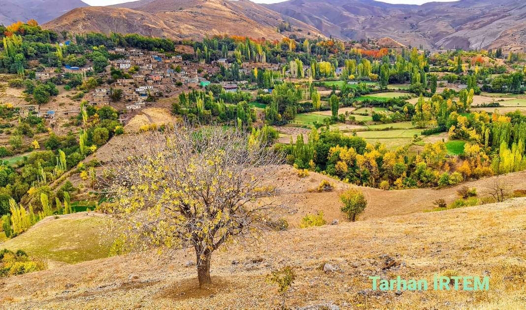 Pervari Gökbudak Köyü Resimleri 9