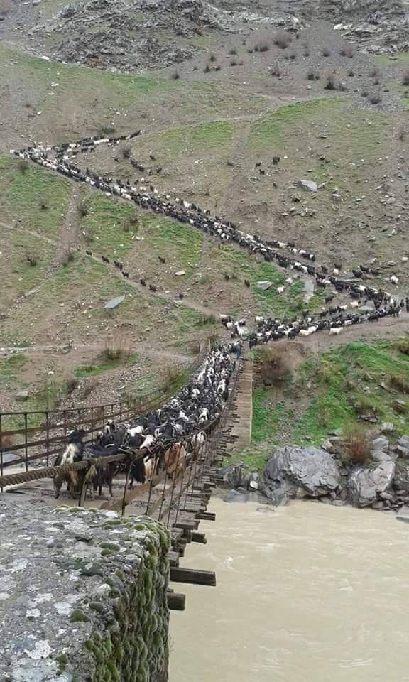 Pervari Gölgeli Köyü Resimleri 5