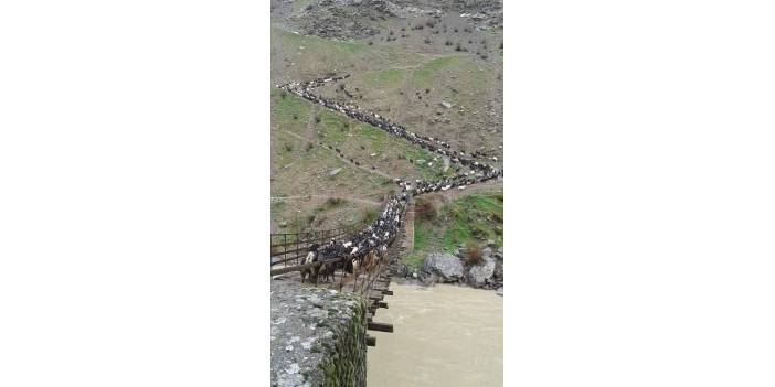 Pervari Gölgeli Köyü Resimleri