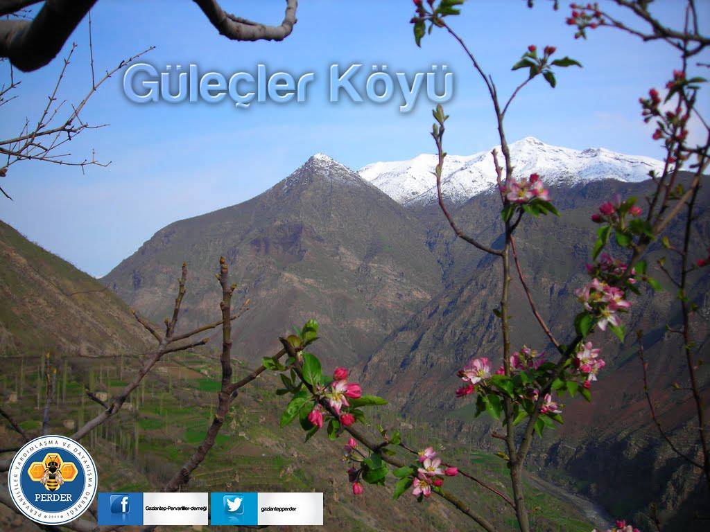 Pervari Güleçler Köyü Resimleri 6