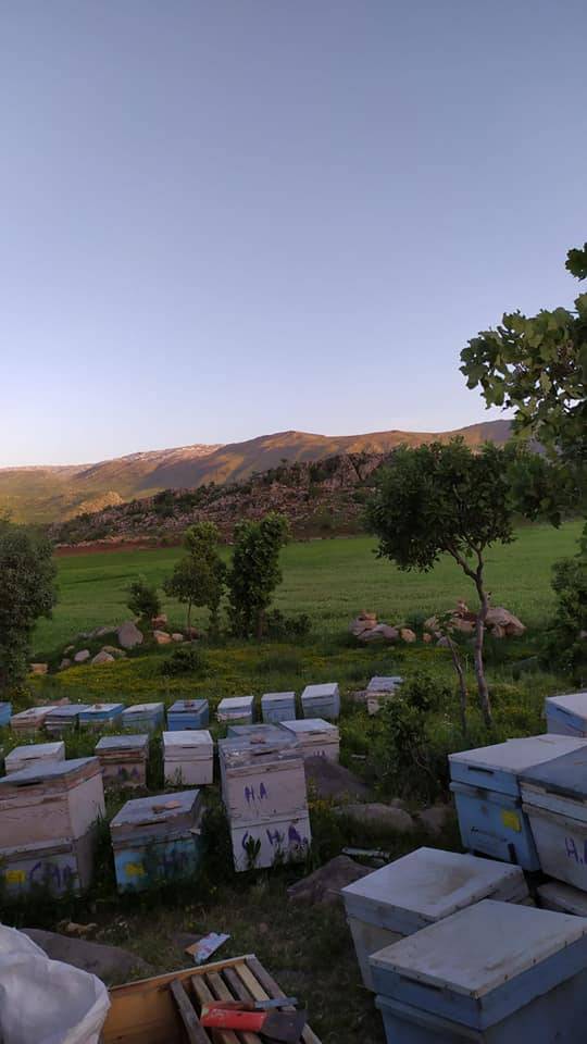 Pervari Karasungur Köyü Resimleri 6