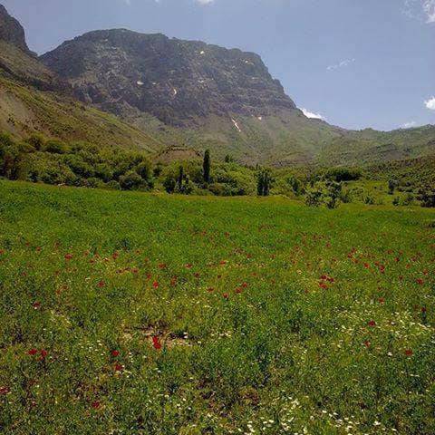 Pervari Kışlacık Köyü Resimleri 6