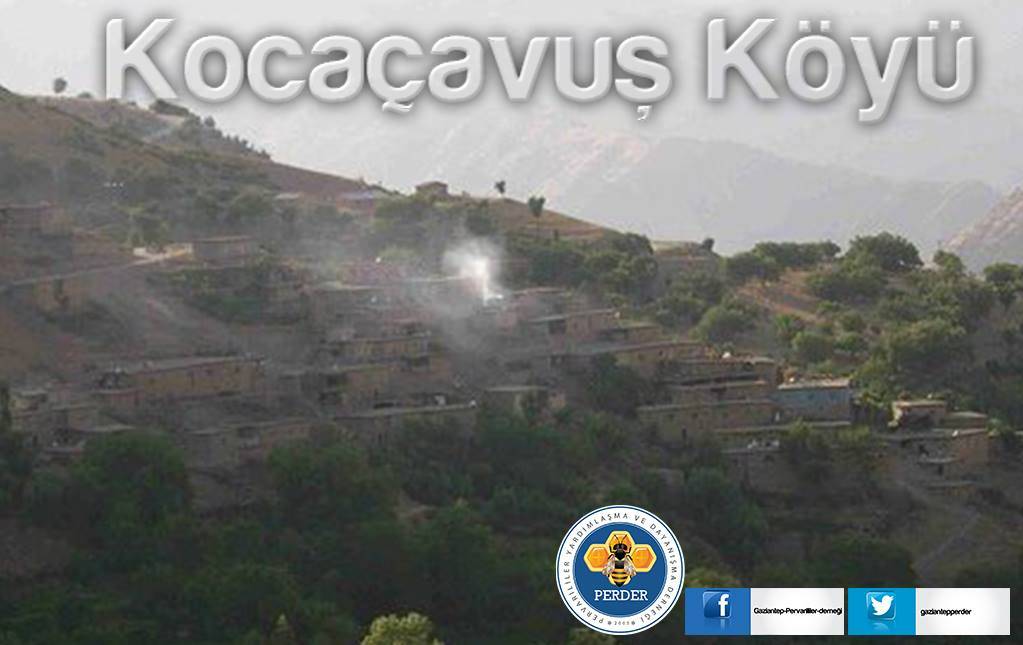 Pervari Kocaçavuş Köyü Resimleri 1