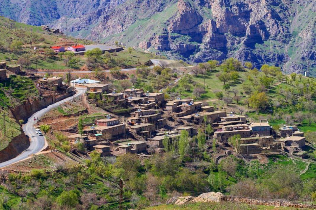 Pervari Kocaçavuş Köyü Resimleri 2