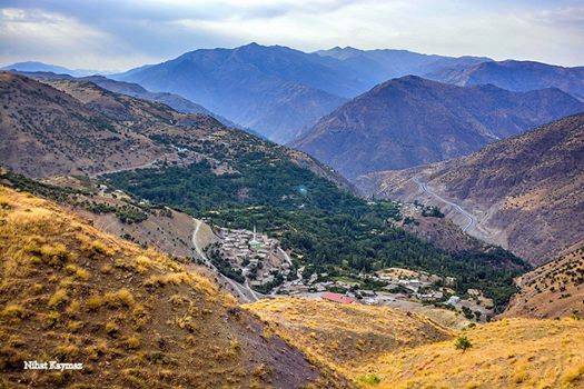 Pervari Kocaçavuş Köyü Resimleri 3