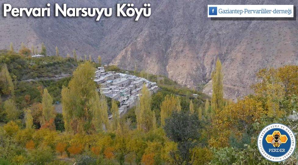Pervari Narsuyu Köyü Resimleri 2