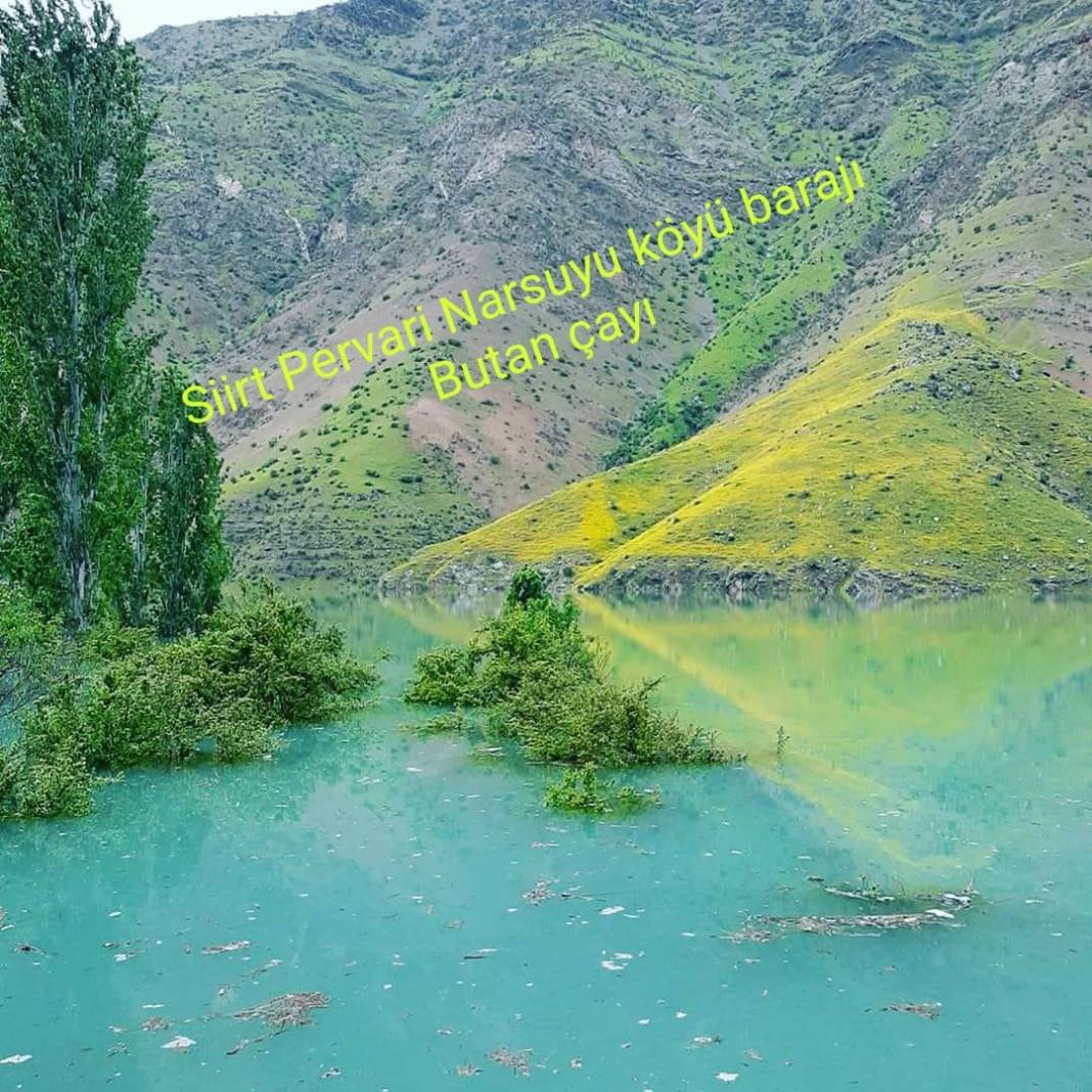 Pervari Narsuyu Köyü Resimleri 6