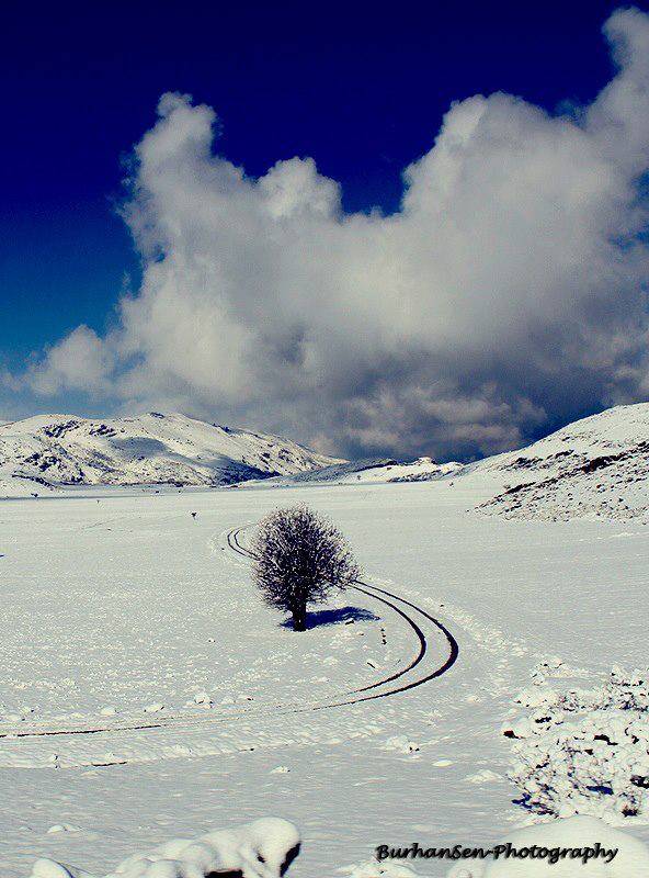Pervari Ormandalı Köyü Resimleri 1