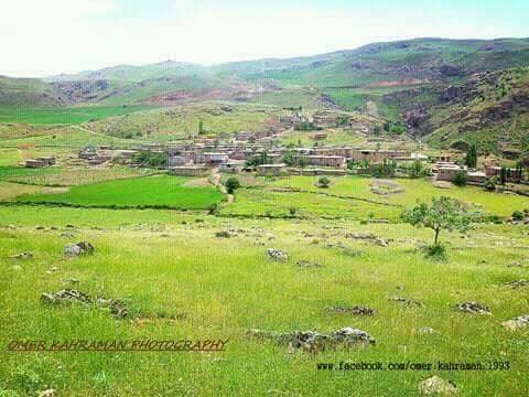 Pervari Ormandalı Köyü Resimleri 3