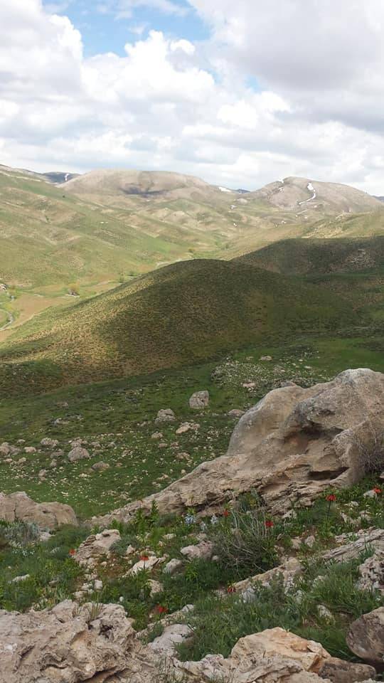 Pervari Ormandalı Köyü Resimleri 5