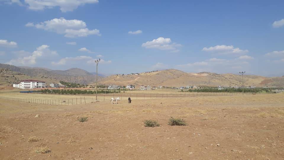 Pervari Ormandalı Köyü Resimleri 9