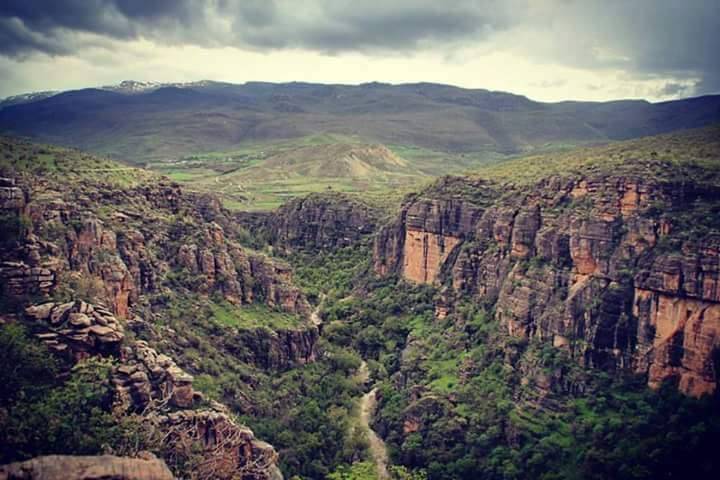 Pervari Palamutlu Köyü Resimleri 2