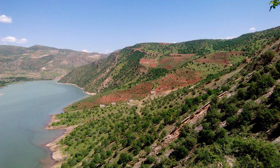 Pervari Palamutlu Köyü Resimleri 5