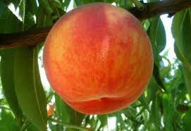 Anamur Çataloluk Köyü Resimleri 1