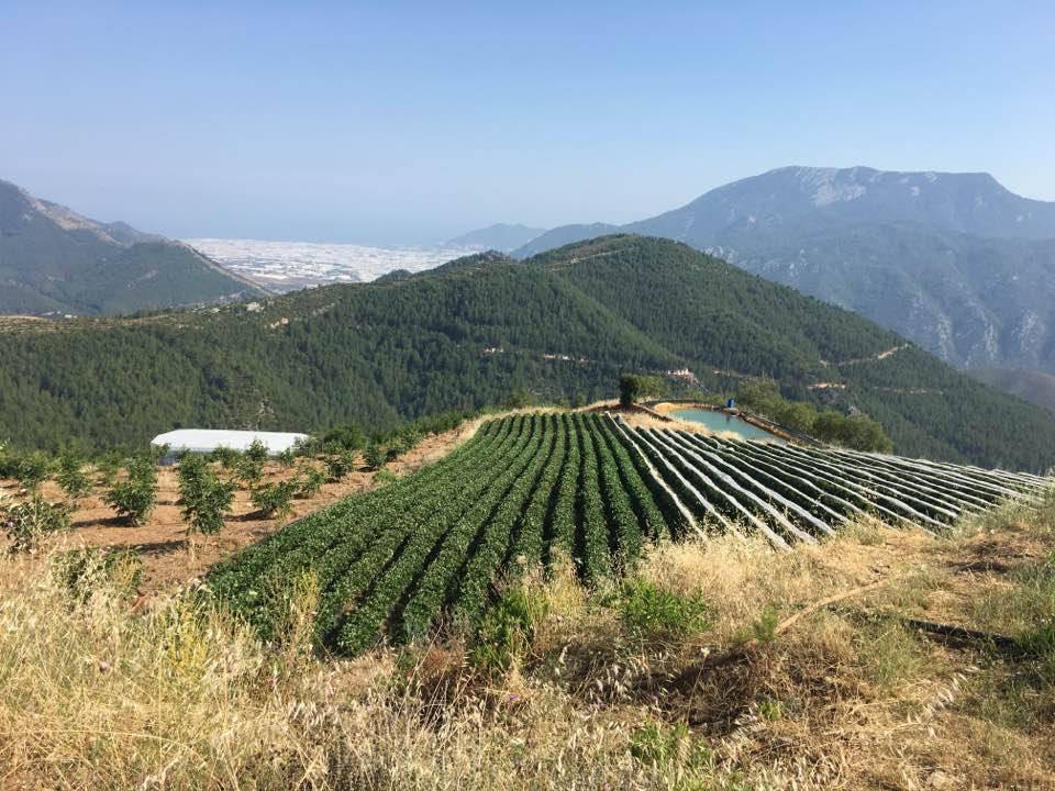 Anamur Çataloluk Köyü Resimleri 5