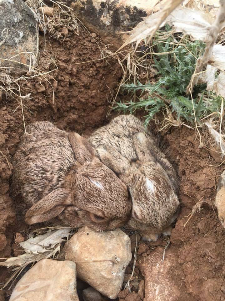 Anamur Emirşah Köyü Resimleri 5