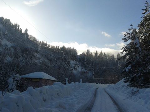 Sapanca İlmiye Köyü Resimleri 11