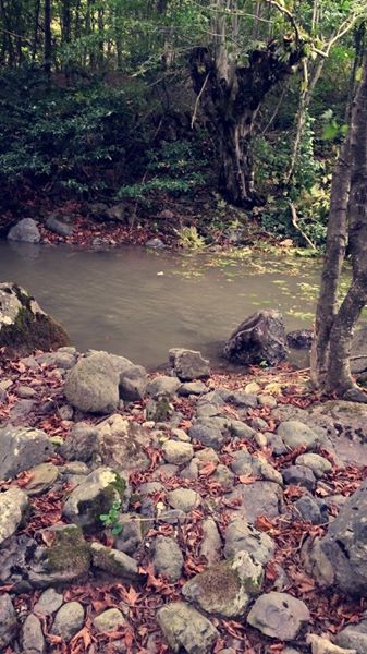 Sapanca İlmiye Köyü Resimleri 14