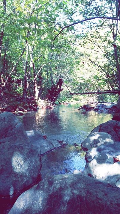 Sapanca İlmiye Köyü Resimleri 15