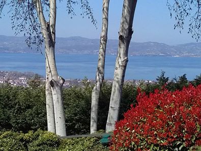 Sapanca İlmiye Köyü Resimleri 2