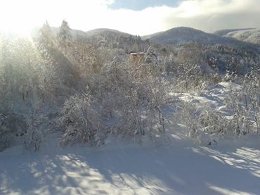 Sapanca İlmiye Köyü Resimleri 6