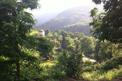 Sapanca İlmiye Köyü Resimleri 7