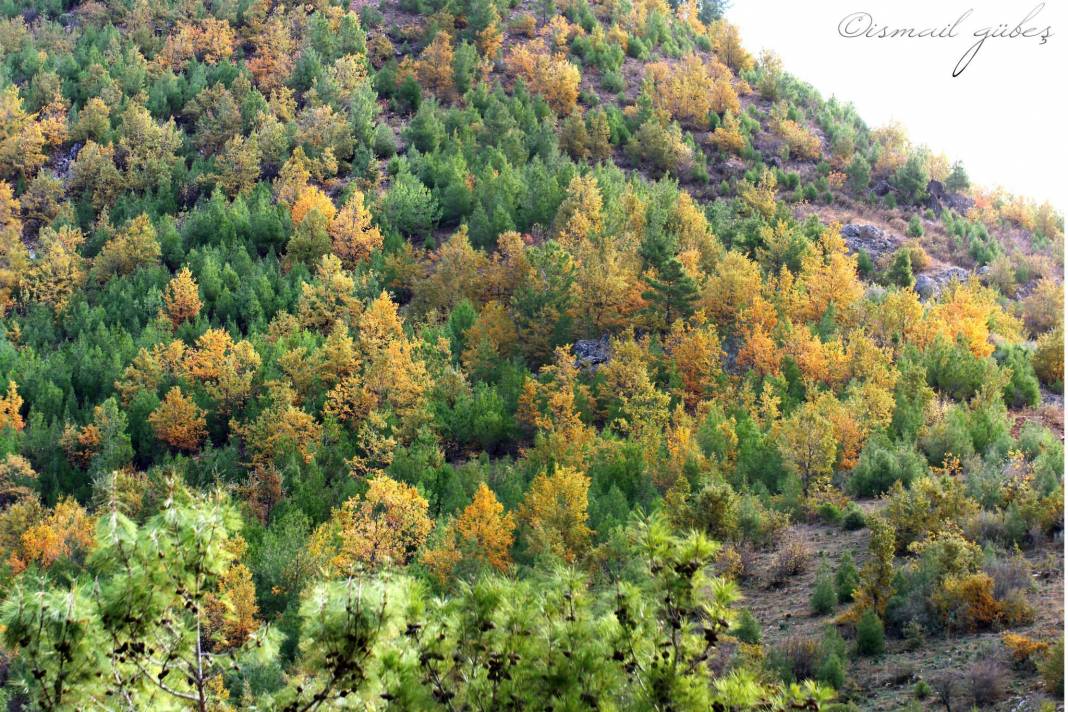 Anamur Fatih Köyü Resimleri 1