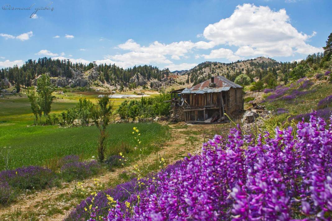 Anamur Fatih Köyü Resimleri 11