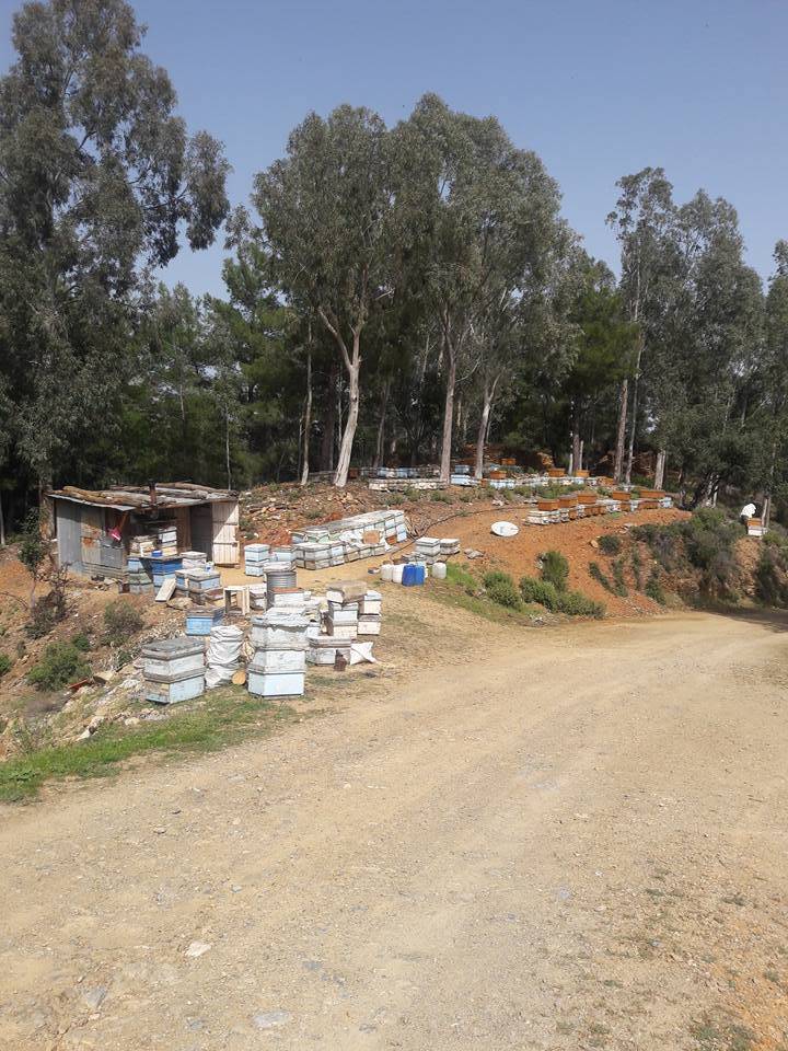 Anamur Güleç Köyü Resimleri 12