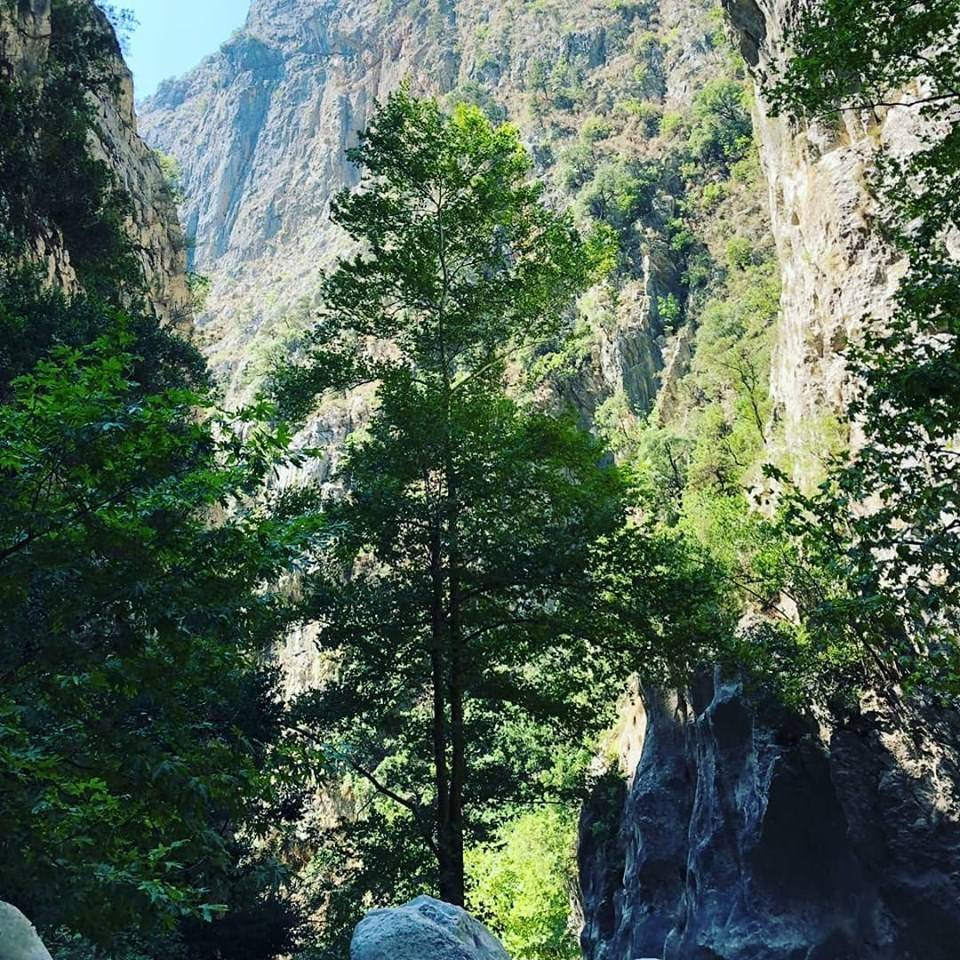 Anamur Güngören Köyü Resimleri 17