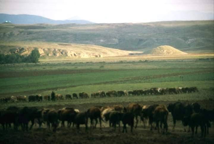 Sivas Kayadibi Köyü Resimleri 1