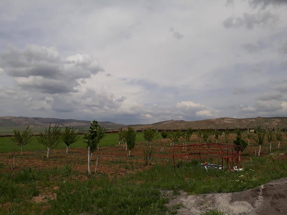 Sivas Keçili Köyü Resimleri 1