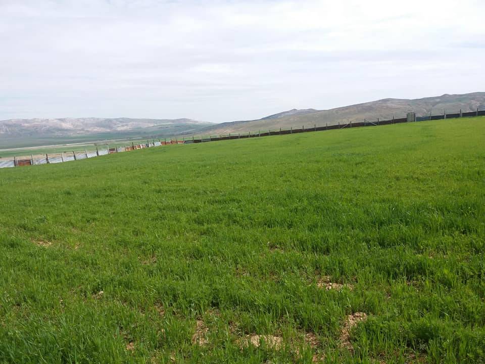 Sivas Keçili Köyü Resimleri 2