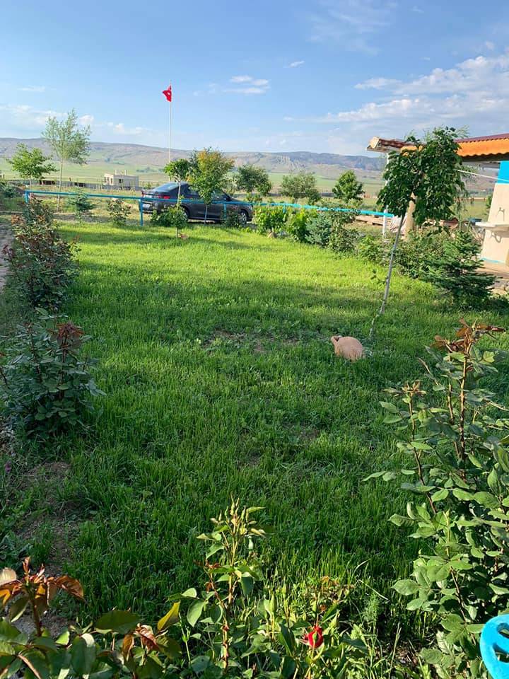 Sivas Keçili Köyü Resimleri 4