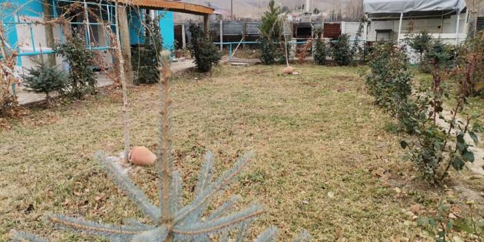 Sivas Keçili Köyü Resimleri